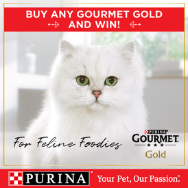 Buy Gourmet Gold and Win!