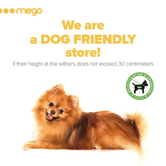 We are a dog friendly store!