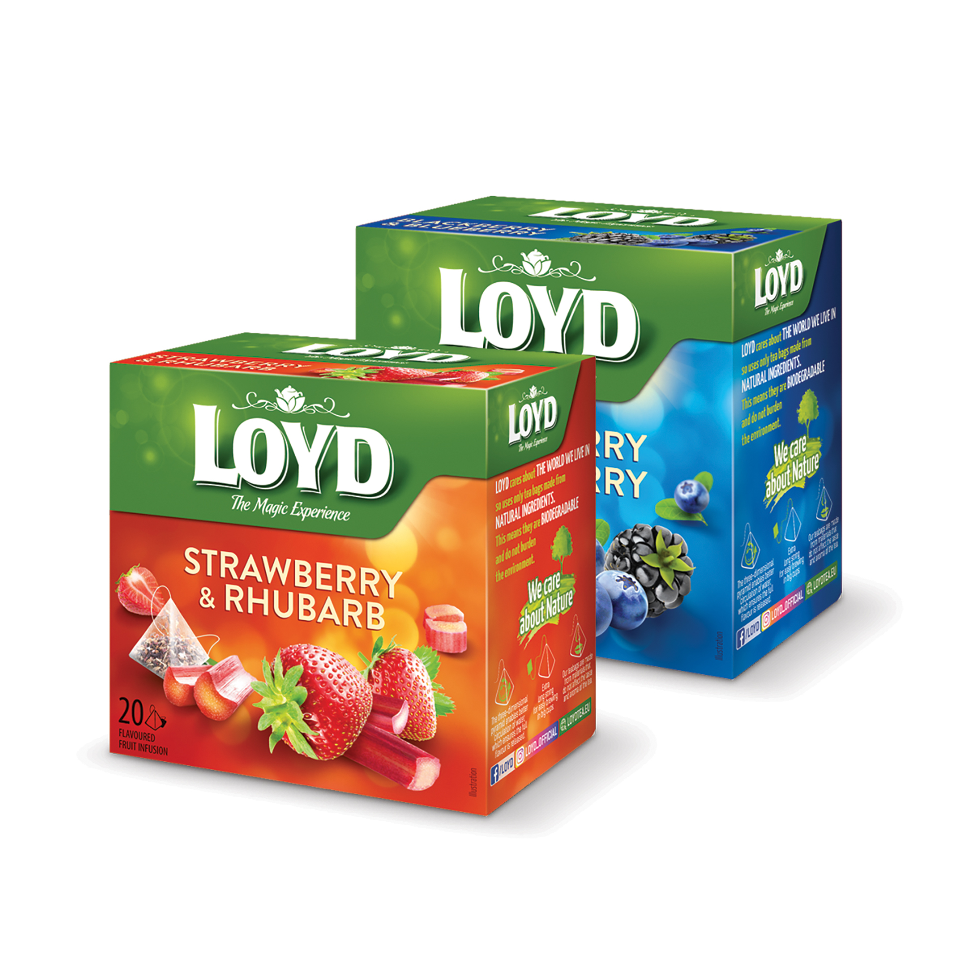 Чай Loyd